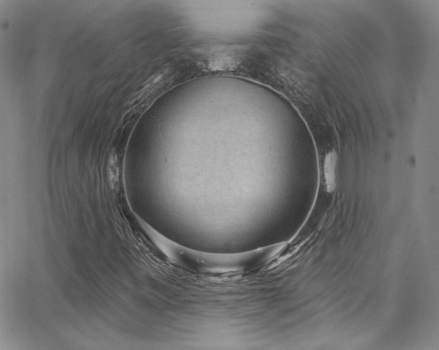 X0000062791443200512221338