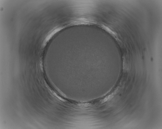X0000062791453200512221338