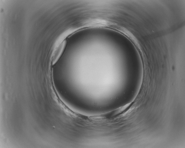 X0000062791488200512221337