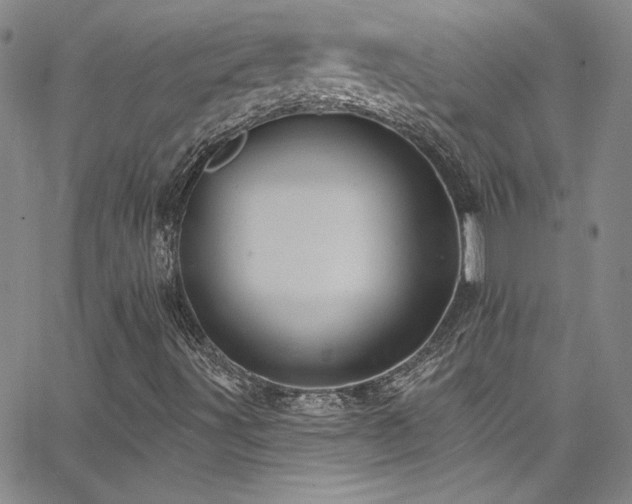 X0000062791491200512221337