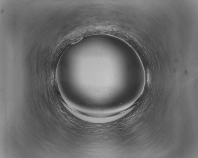 X0000062791492200512221337