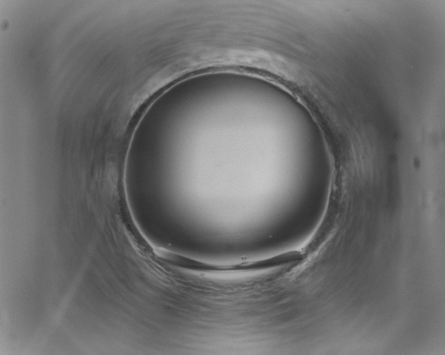 X0000062791505200512221337