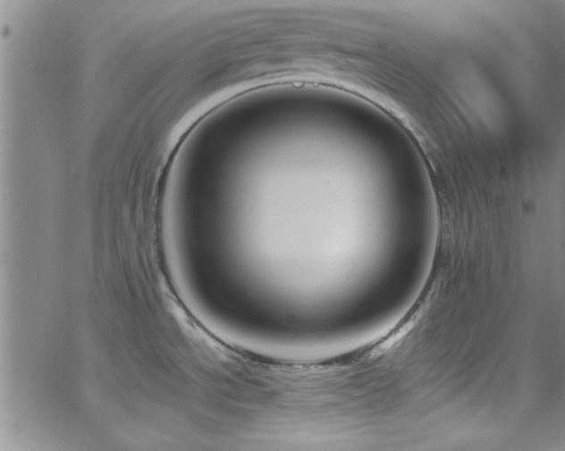 X0000062791534200512221337