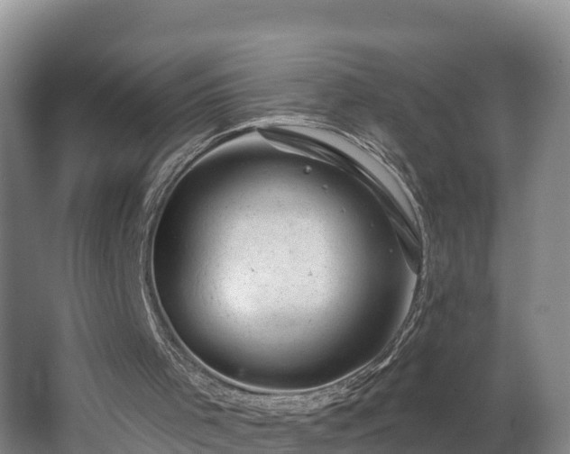 X0000062790001200512261608