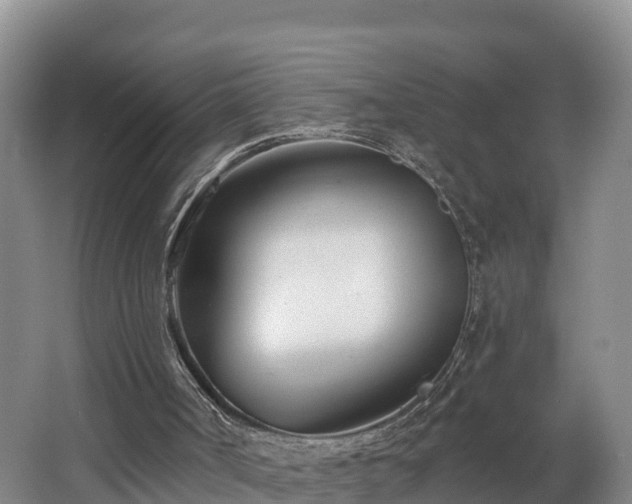 X0000062790002200512261608