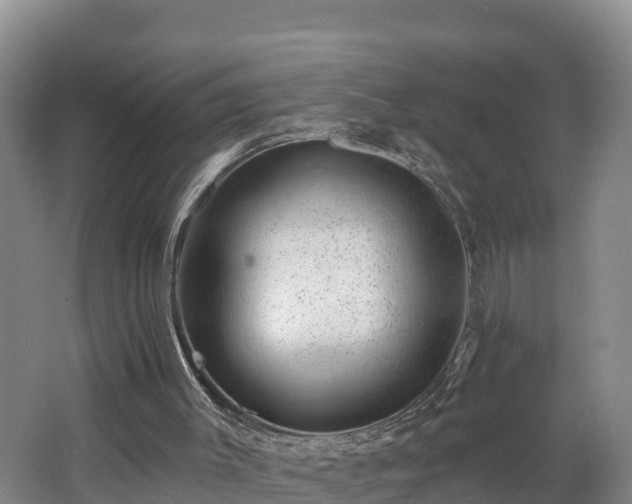 X0000062790003200512261608