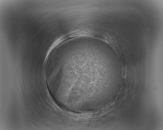 X0000062790004200512261608