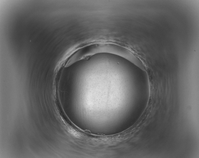 X0000062790005200512261608