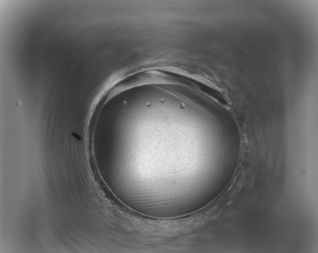 X0000062790006200512261608