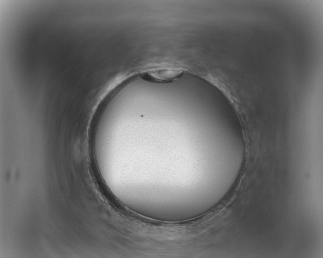 X0000062790008200512261607