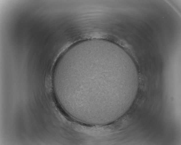 X0000062790012200512261607