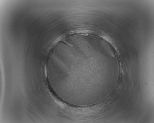 X0000062790013200512261607