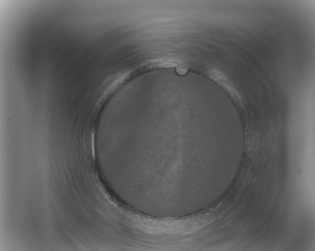 X0000062790014200512261607