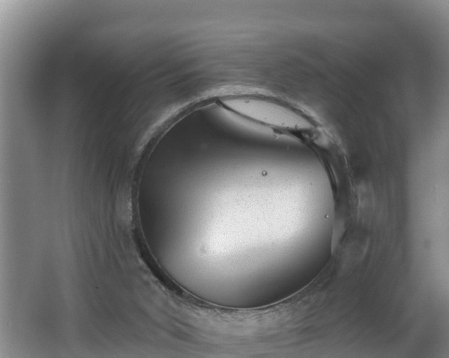 X0000062790015200512261607