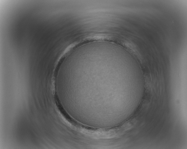 X0000062790016200512261607