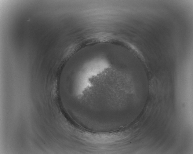 X0000062790018200512261607