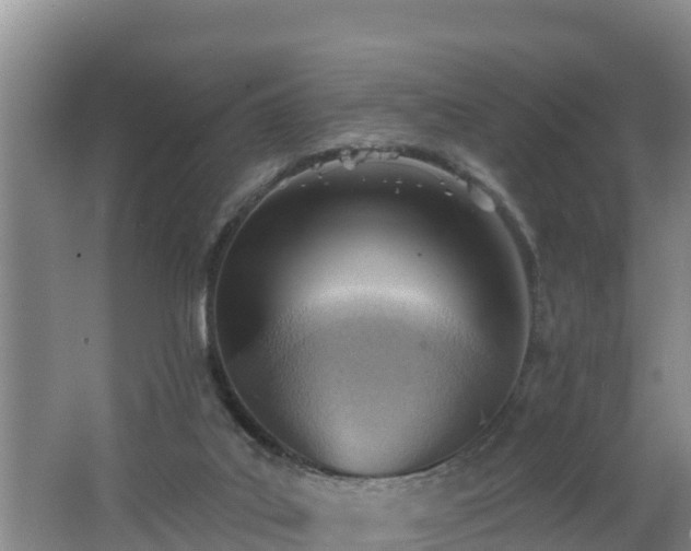 X0000062790019200512261607