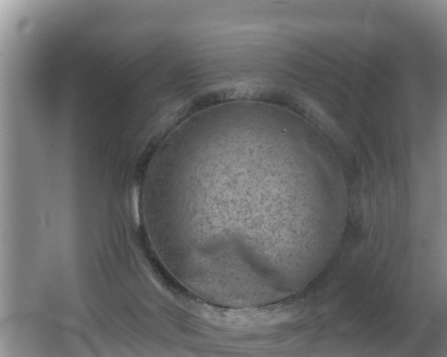 X0000062790022200512261607