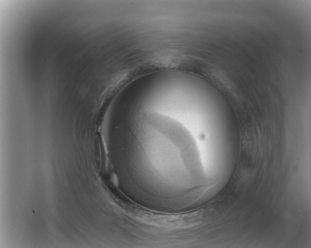 X0000062790023200512261607