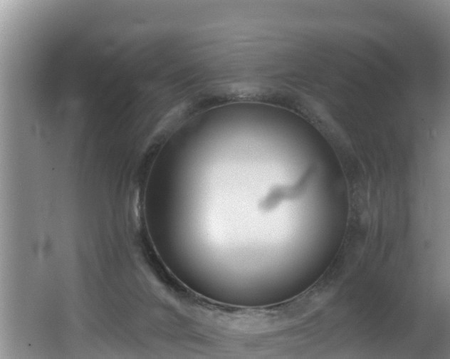 X0000062790024200512261607