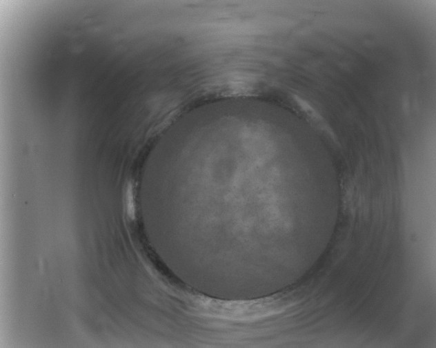 X0000062790026200512261607