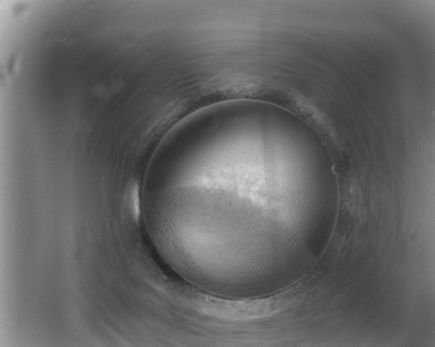 X0000062790027200512261607