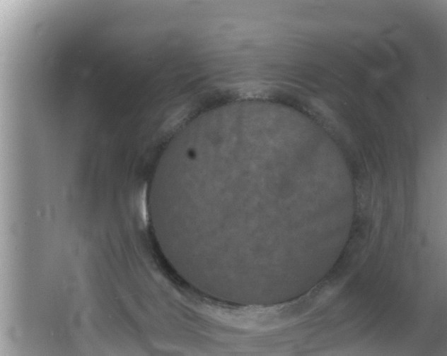 X0000062790028200512261607