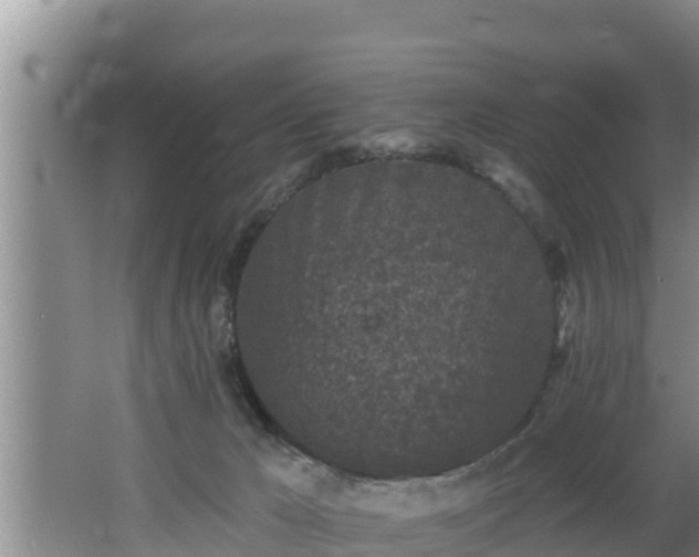 X0000062790029200512261607