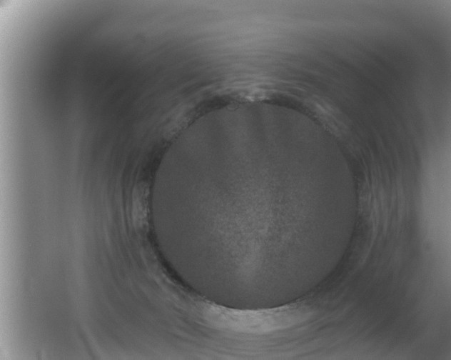 X0000062790030200512261607