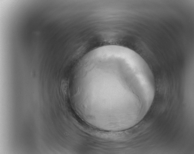 X0000062790036200512261607