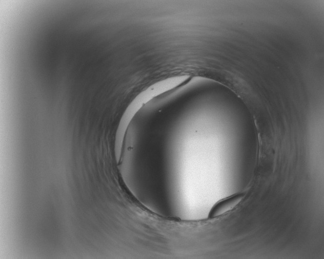 X0000062790037200512261607