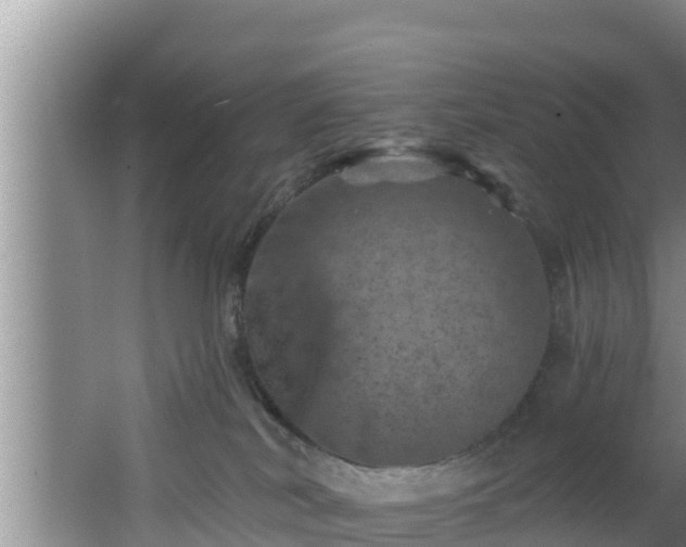 X0000062790038200512261607