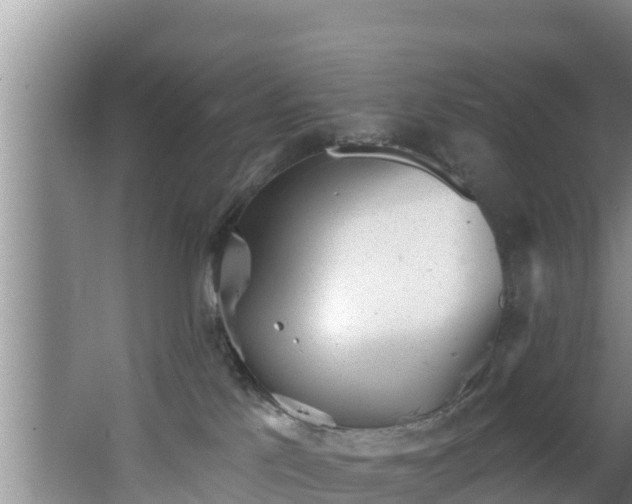 X0000062790041200512261607