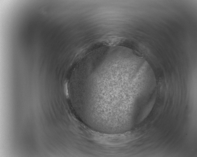 X0000062790042200512261607