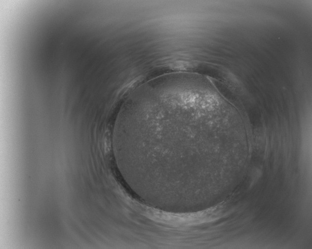 X0000062790043200512261607