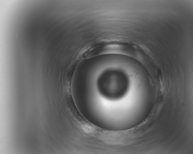 X0000062790045200512261607