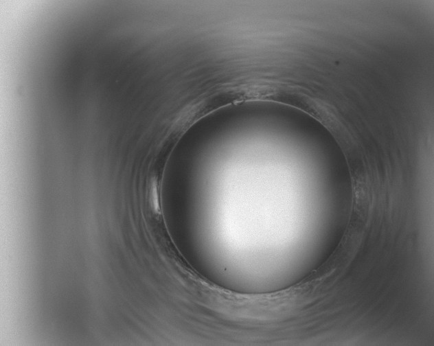 X0000062790046200512261607