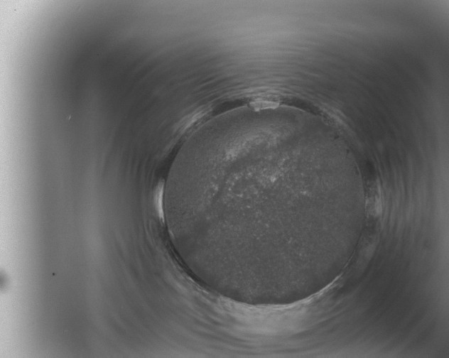 X0000062790047200512261607