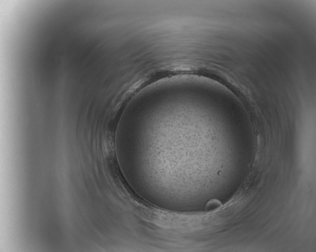 X0000062790048200512261607