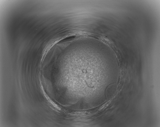 X0000062790049200512261606