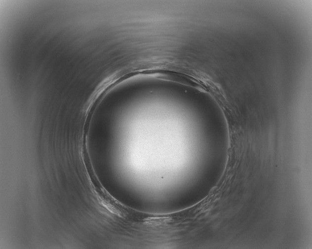 X0000062790051200512261606