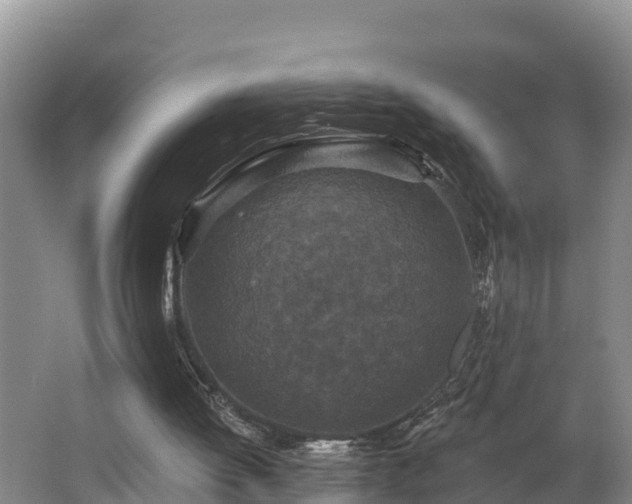 X0000062790052200512261606