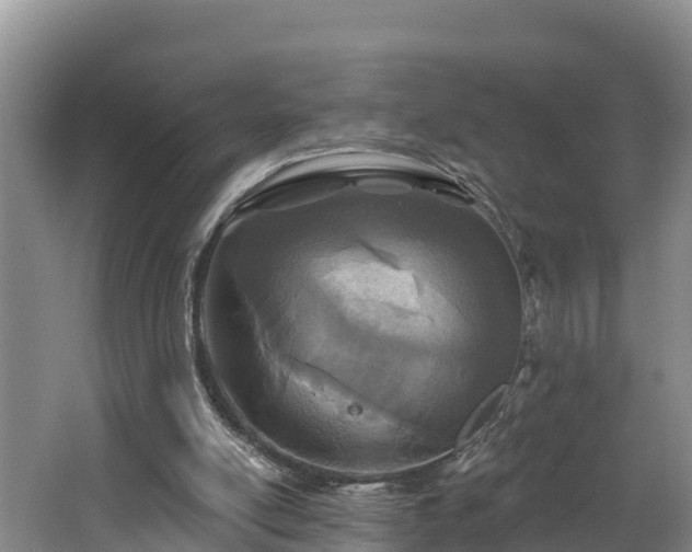 X0000062790054200512261606