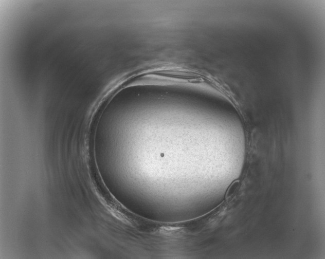 X0000062790055200512261606