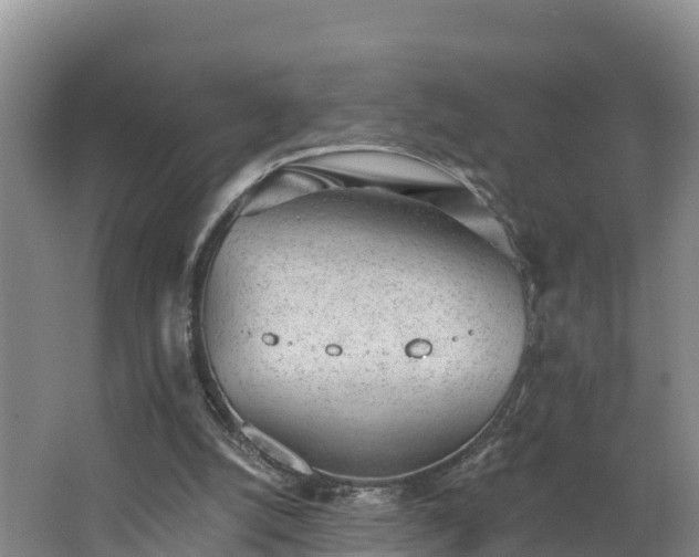 X0000062790056200512261606