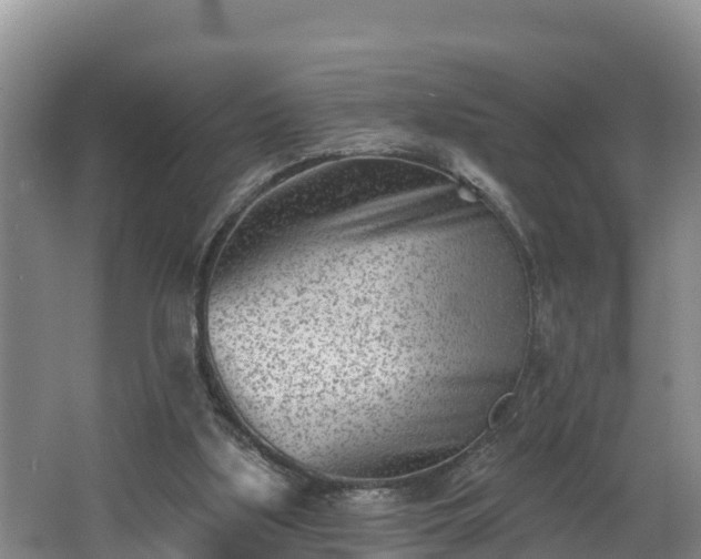 X0000062790059200512261606