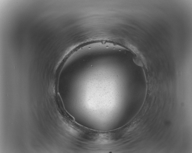 X0000062790060200512261606