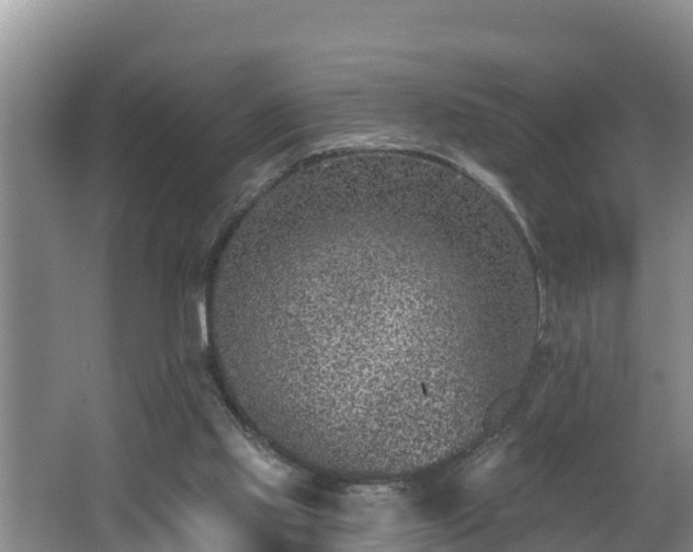 X0000062790061200512261606