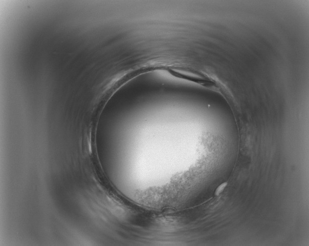 X0000062790062200512261606