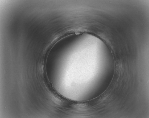 X0000062790063200512261606